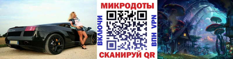 MEGA tor  Гаврилов Посад  Галлюциногенные грибы Psilocybine cubensis 